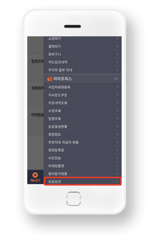 프로모션 선택